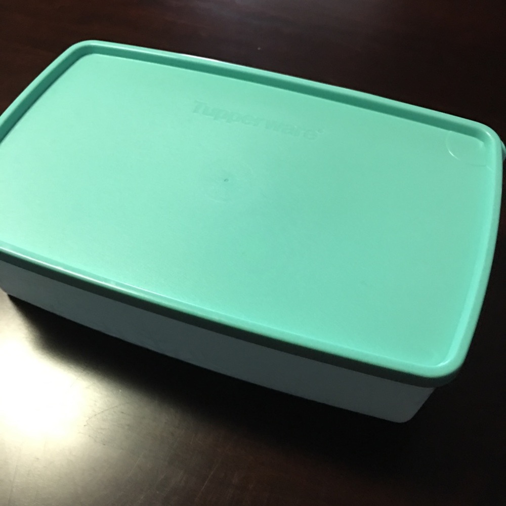 Freeze- It food storage